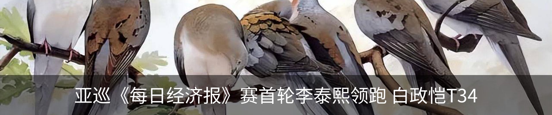 内页banner